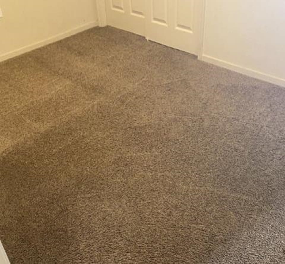 Rug Cleaner Visalia, CA Manzanita Carpet Cleaners