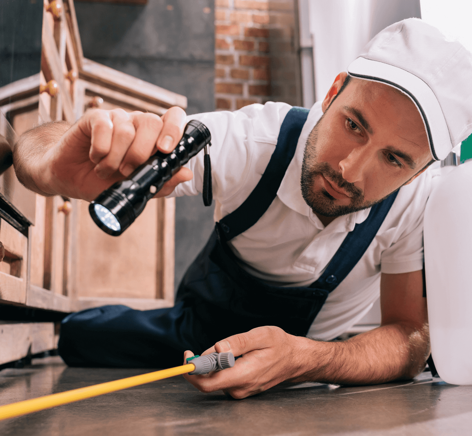 Ant Control Anderson, SC Lewis Pest