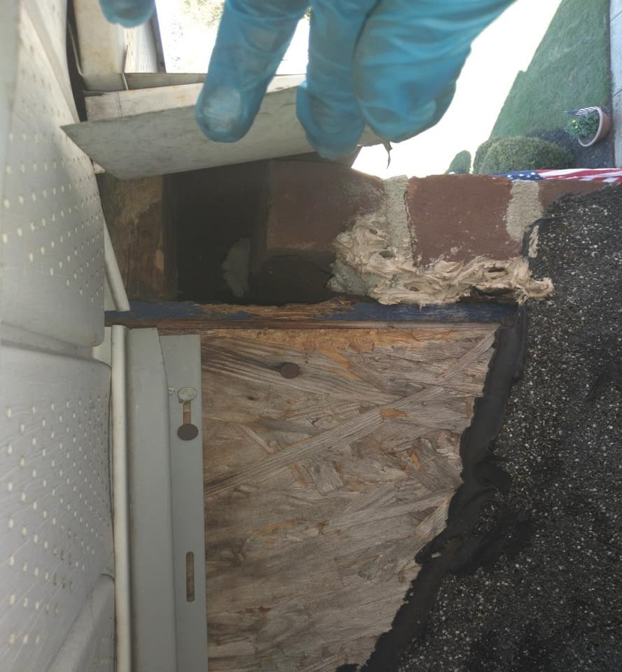 Lewis Pest Anderson, SC Gallery