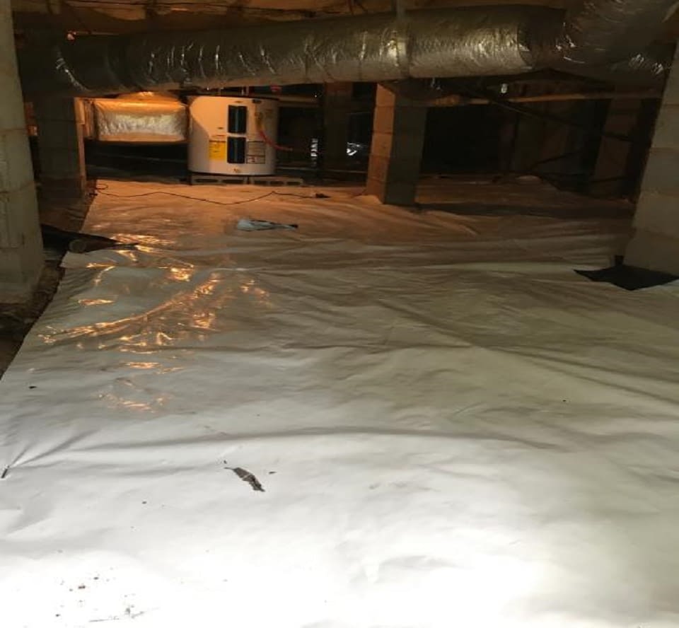 Lewis Pest Anderson, SC Gallery