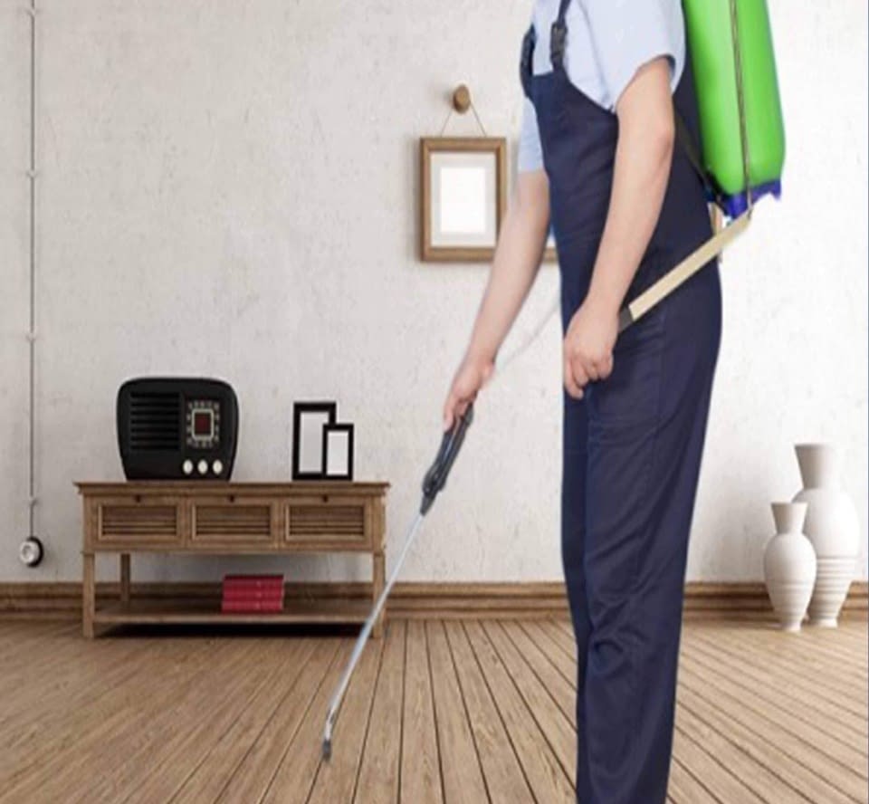 Lewis Pest Anderson, SC Gallery