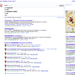 Google Search: C-H-I-R