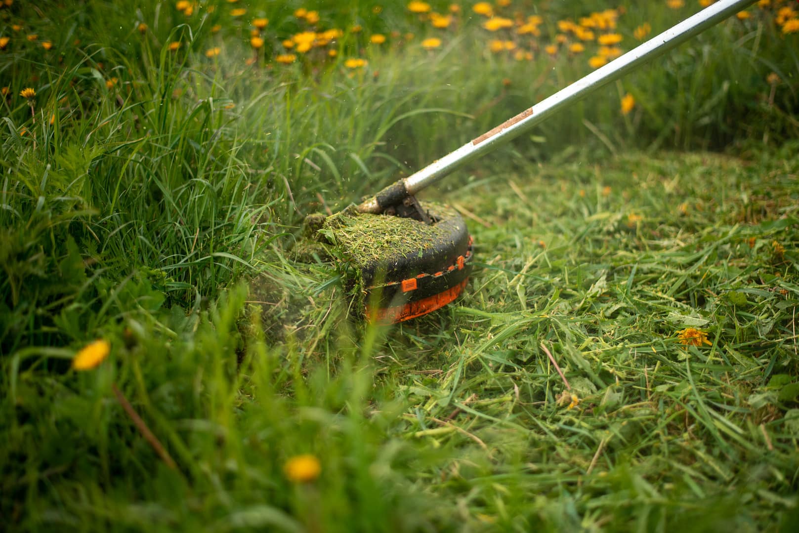 Professional weed wacking tool in action, precisely trimming grass edges - amplify your lawn care tool proficiency with Local Splash's specialized marketing.