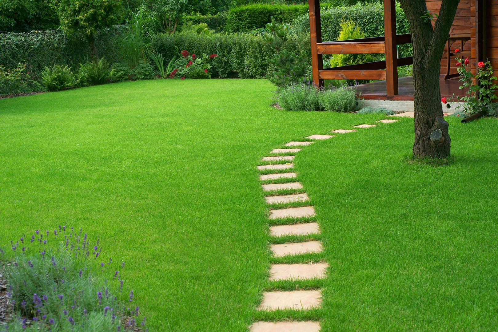 Picturesque backyard with stone paver path seamlessly integrated into the lawn - showcase the results of top-tier lawn care with Local Splash's marketing expertise.