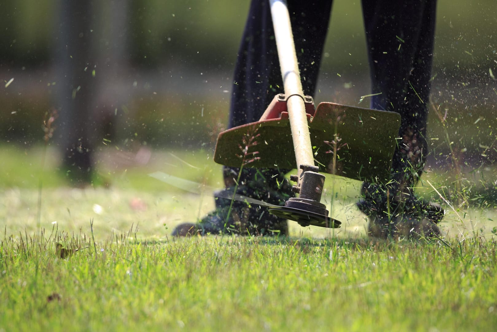 The gardener cutting grass by lawn mower