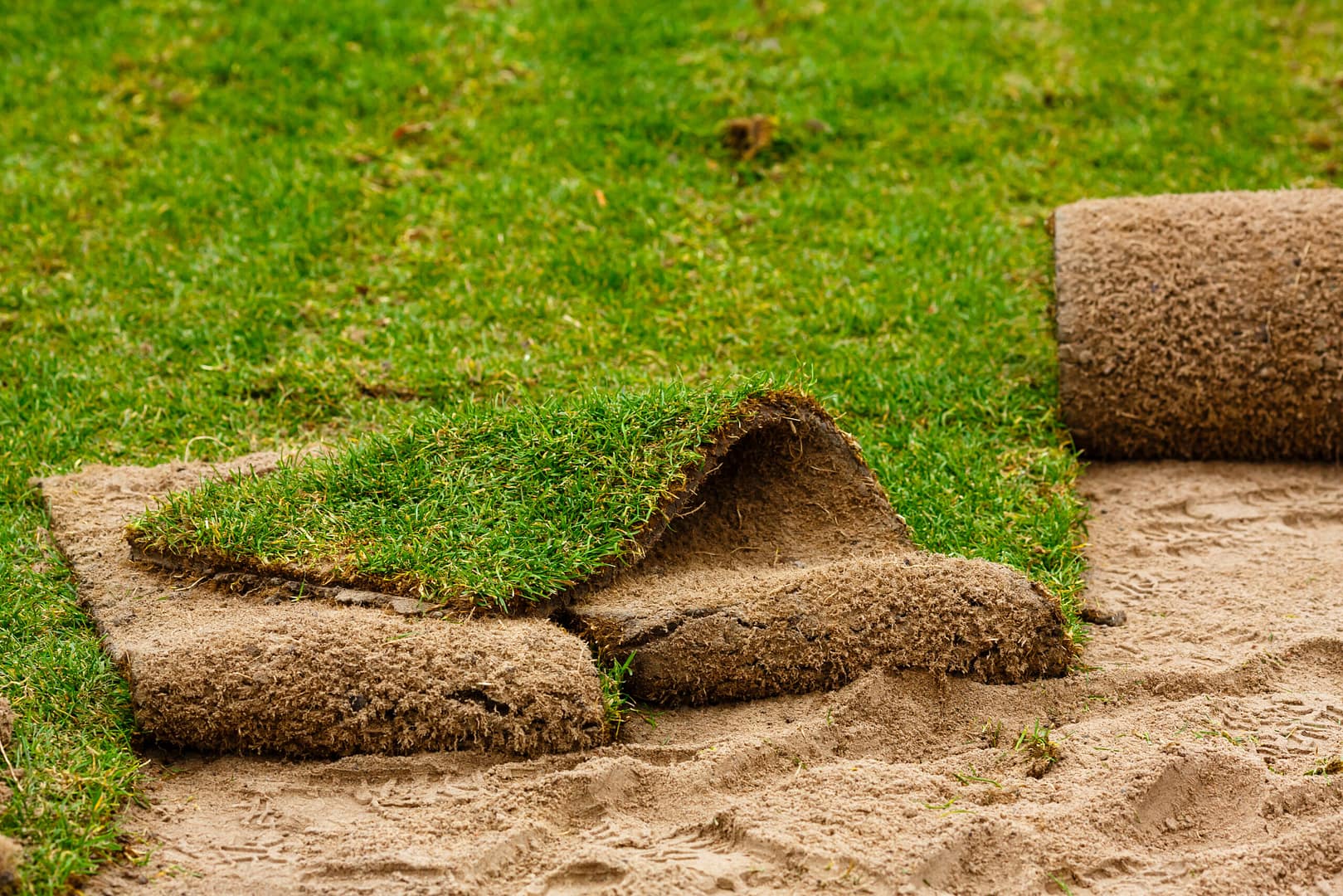 Ongoing lawn landscaping project, showing the process of installing grass turf on the ground to create a lush green lawn, a fundamental element of landscape design.