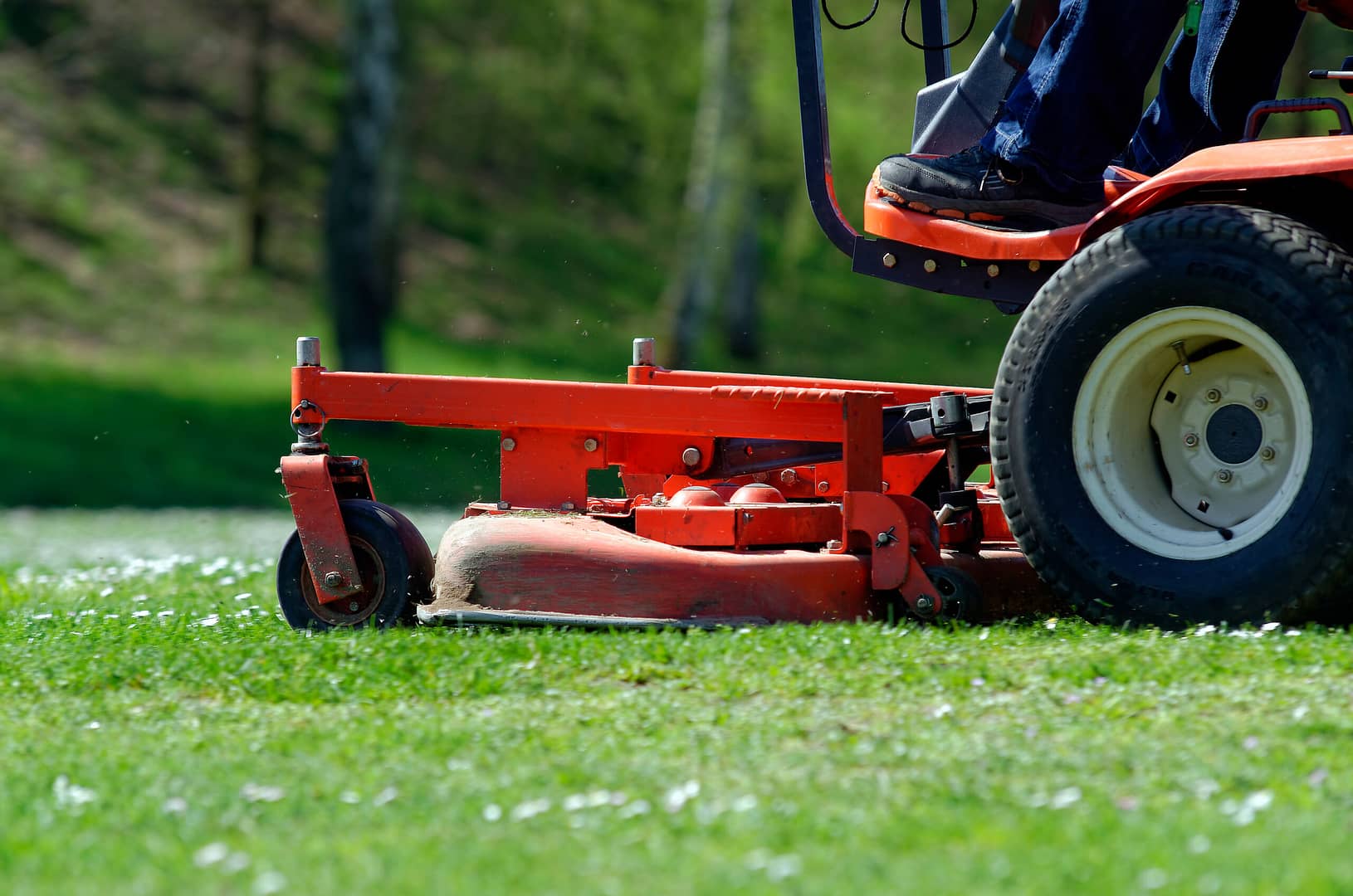 A lawnmower on a lush green lawn, ready to trim the grass