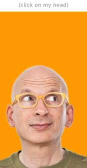 Seth Godin