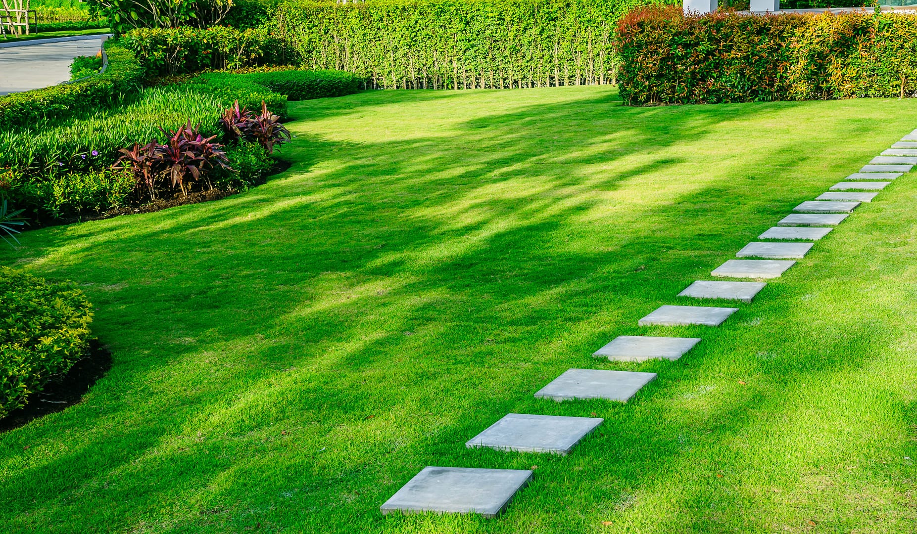 Lush, vibrant green sideyard of a residential property - a testament to quality lawn care, perfectly marketed by Local Splash.