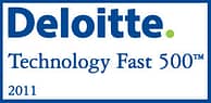 deloitte500homepagegraphic1