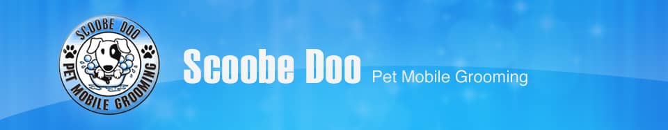 ScoobeDoo_Header1a