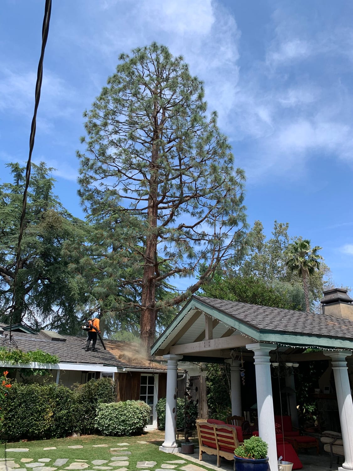 Father & Son Tree Service8