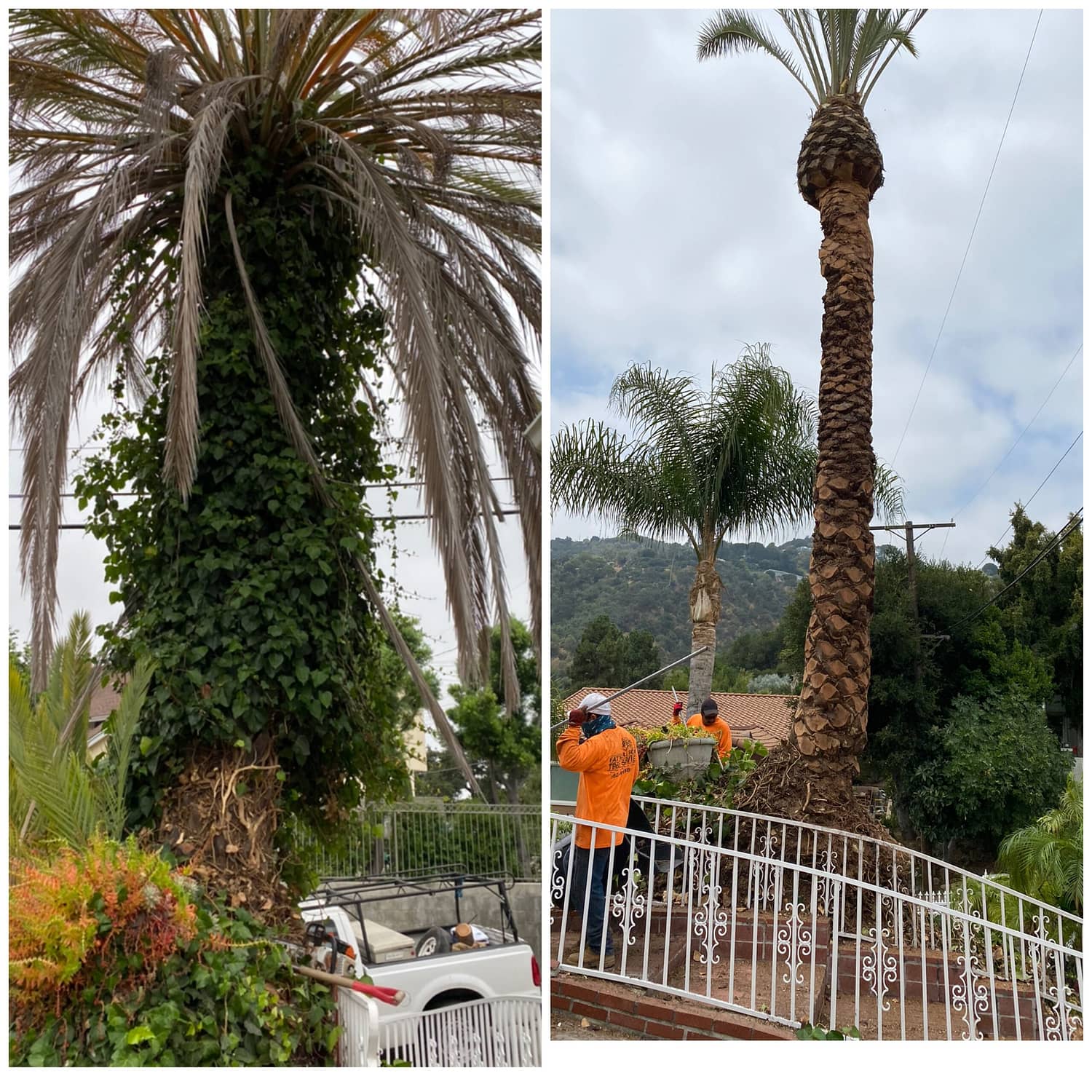 Father & Son Tree Service6