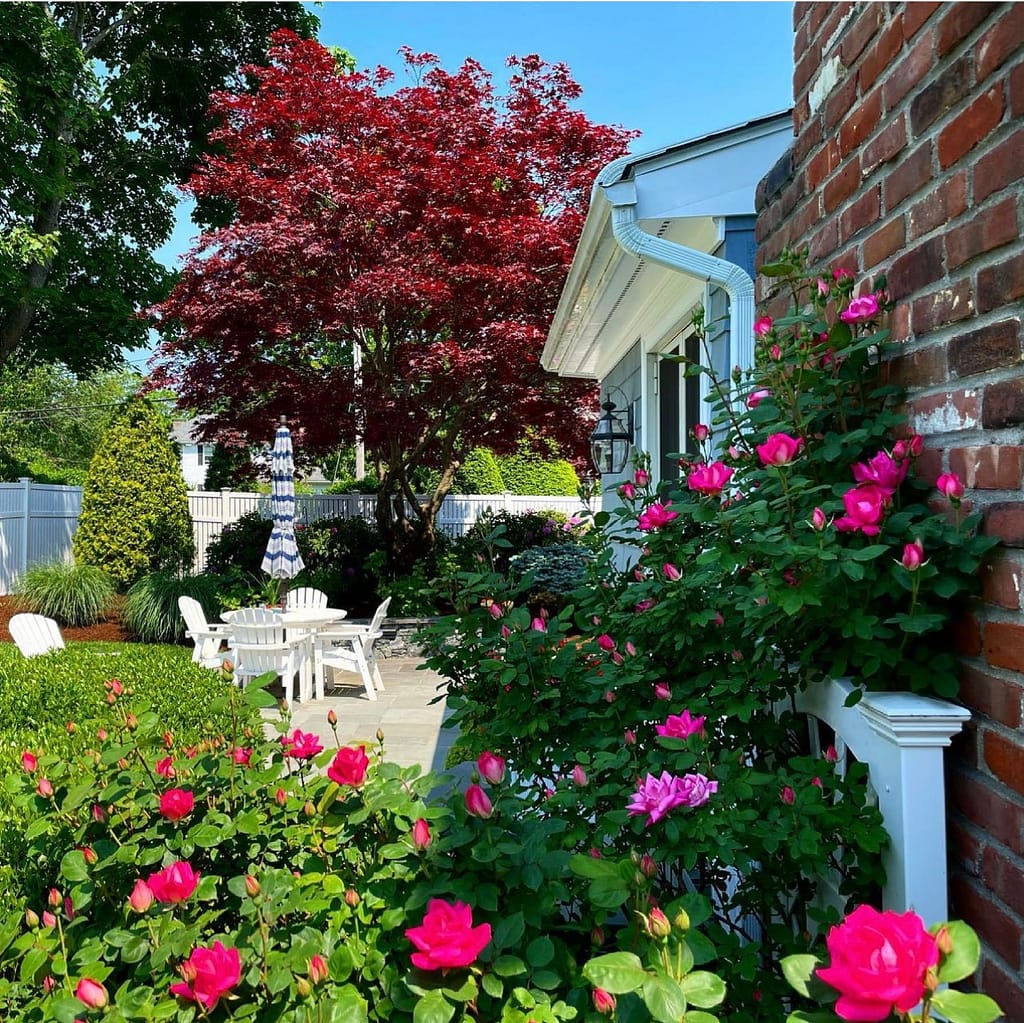 Cape Cod Landscape Design