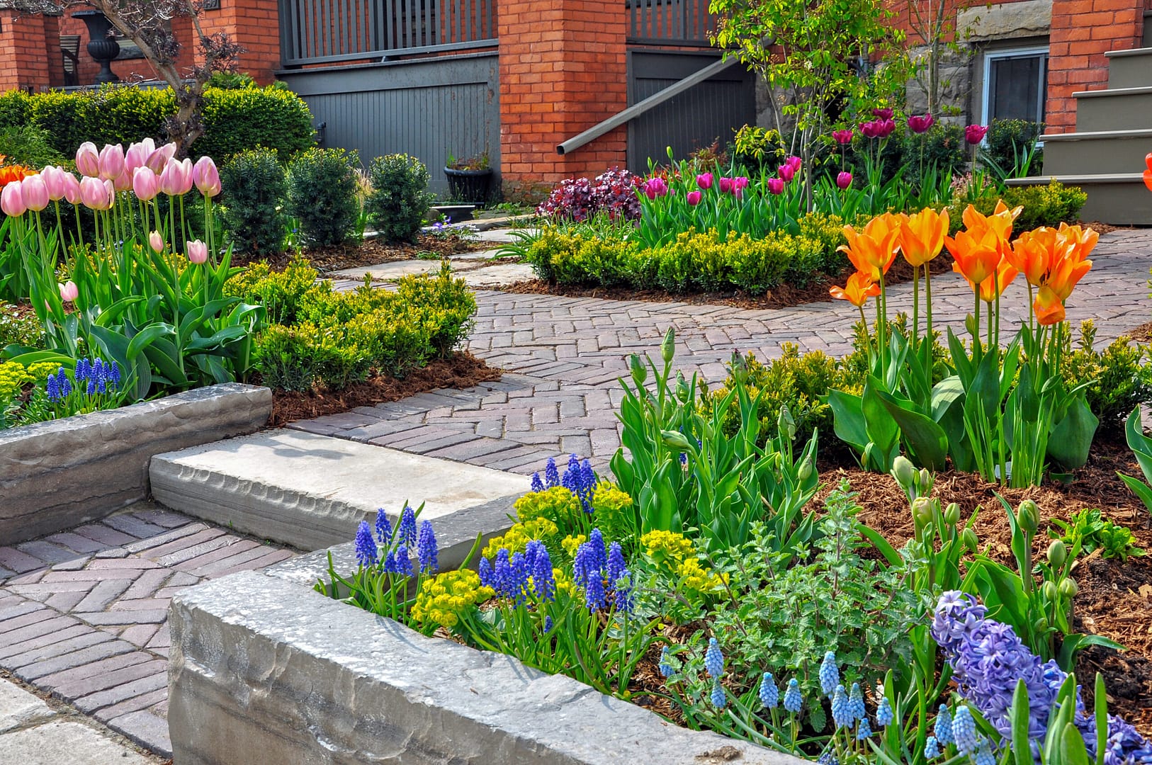 An inviting urban front yard spring garden with a spacious veranda, a charming brick paver walkway, and a well-designed retaining wall adorned with an array of colorful bulbs, lush shrubs, and vibrant perennials, offering a delightful blend of textures and colors