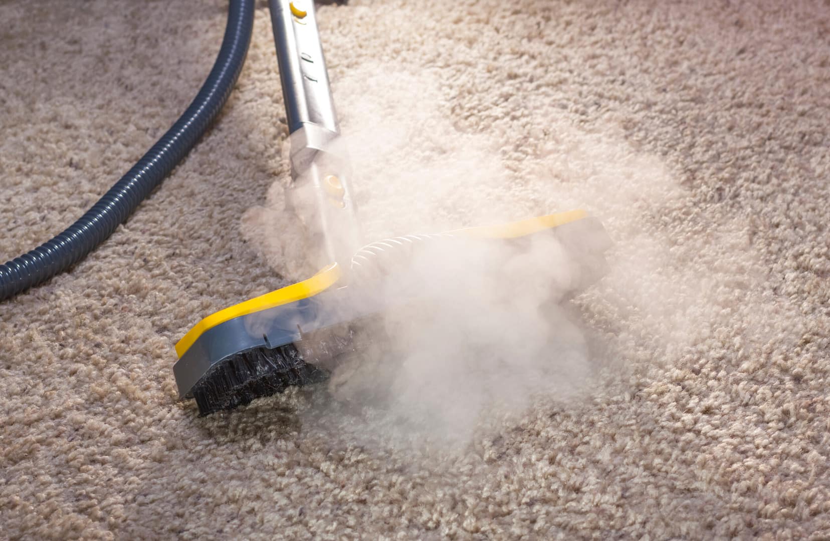 Closeup of a carpet cleaning machine steaming a carpet. Effective marketing of your cleaning services means more visibility in search results, a bigger brand online, and more customers in your business.