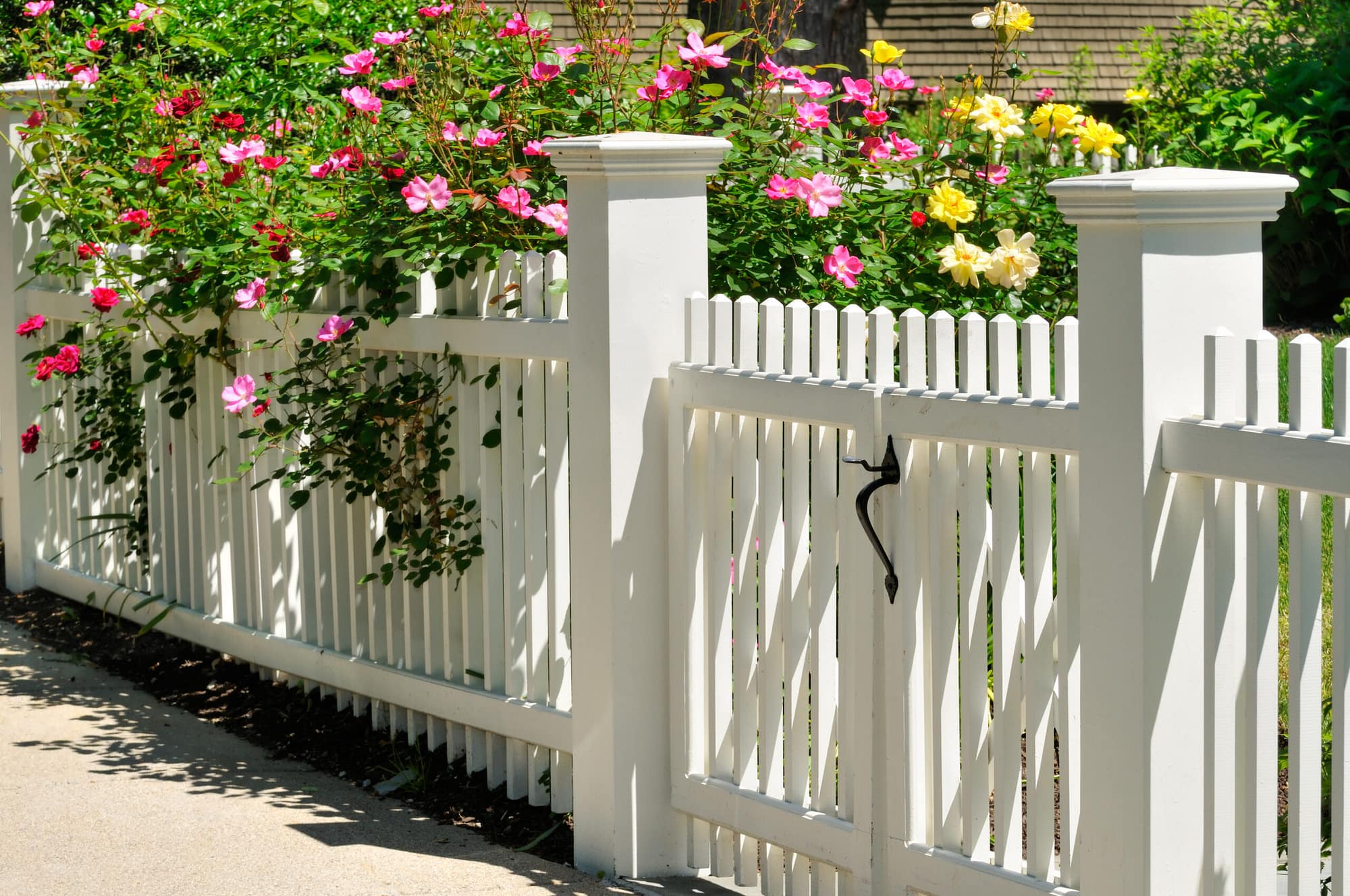 White vinyl fence adorned with flowers showcasing premium fence design suitable for marketing to homeowners.