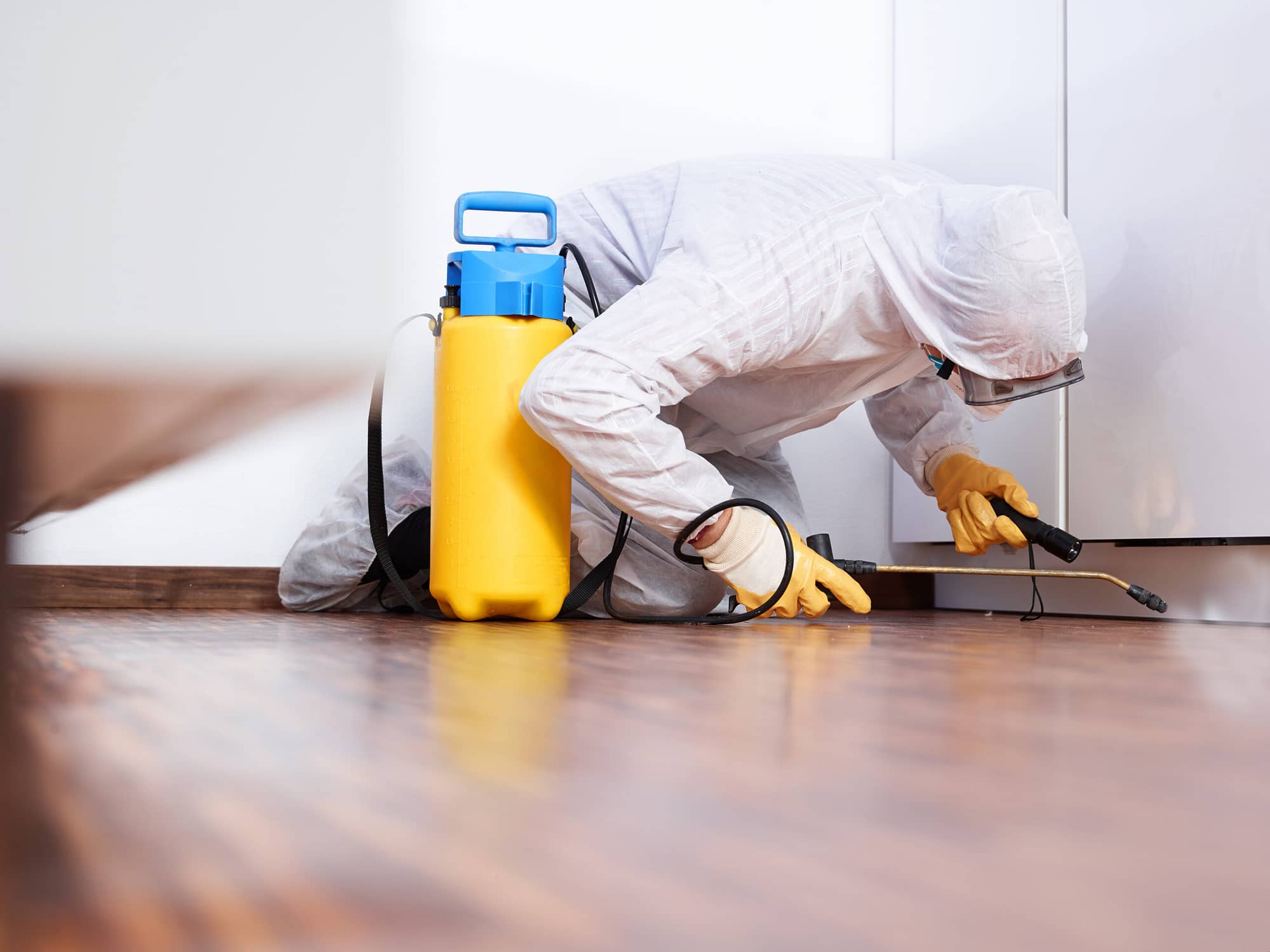 Exterminator in PPE gear spraying treatment near a baseboard - expertise in every spray. Enhance your online presence as effectively as a thorough treatment protects your client's home.